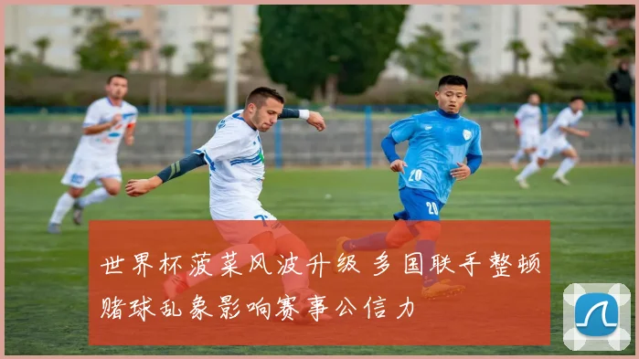 世界杯菠菜风波升级 多国联手整顿赌球乱象影响赛事公信力
