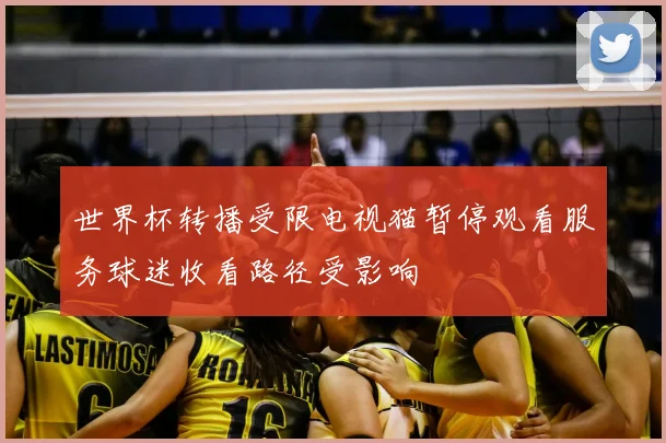 世界杯转播受限电视猫暂停观看服务球迷收看路径受影响
