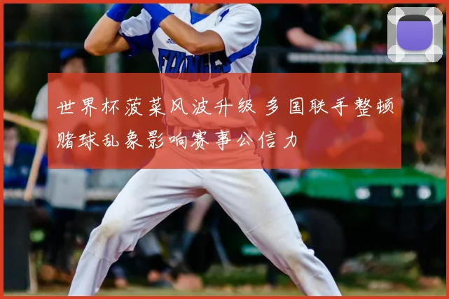 世界杯菠菜风波升级 多国联手整顿赌球乱象影响赛事公信力