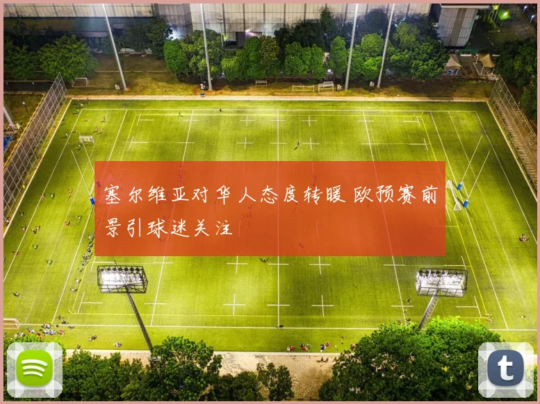 塞尔维亚对华人态度转暖 欧预赛前景引球迷关注