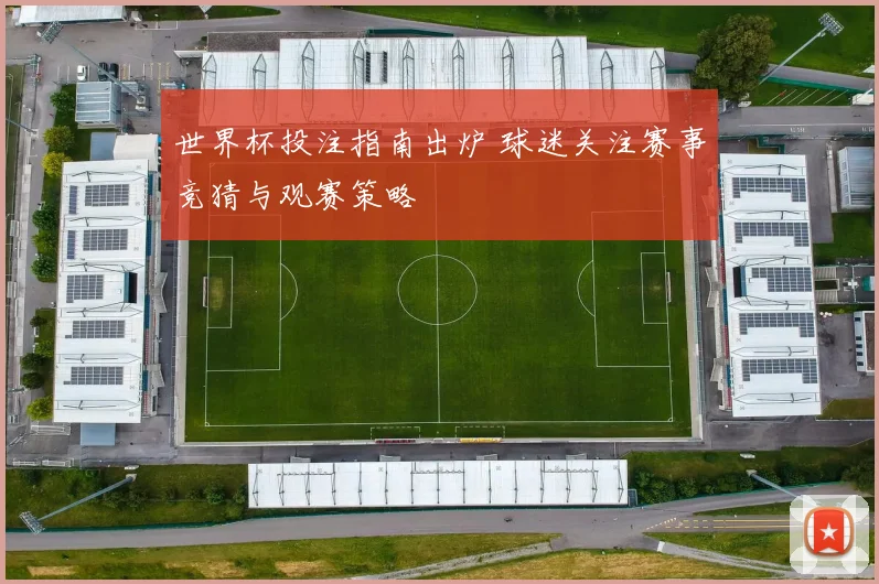 世界杯投注指南出炉 球迷关注赛事竞猜与观赛策略